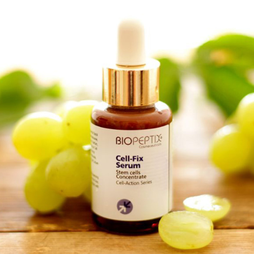 סרום תמציות תאי גזע - Cell-Fix Serum